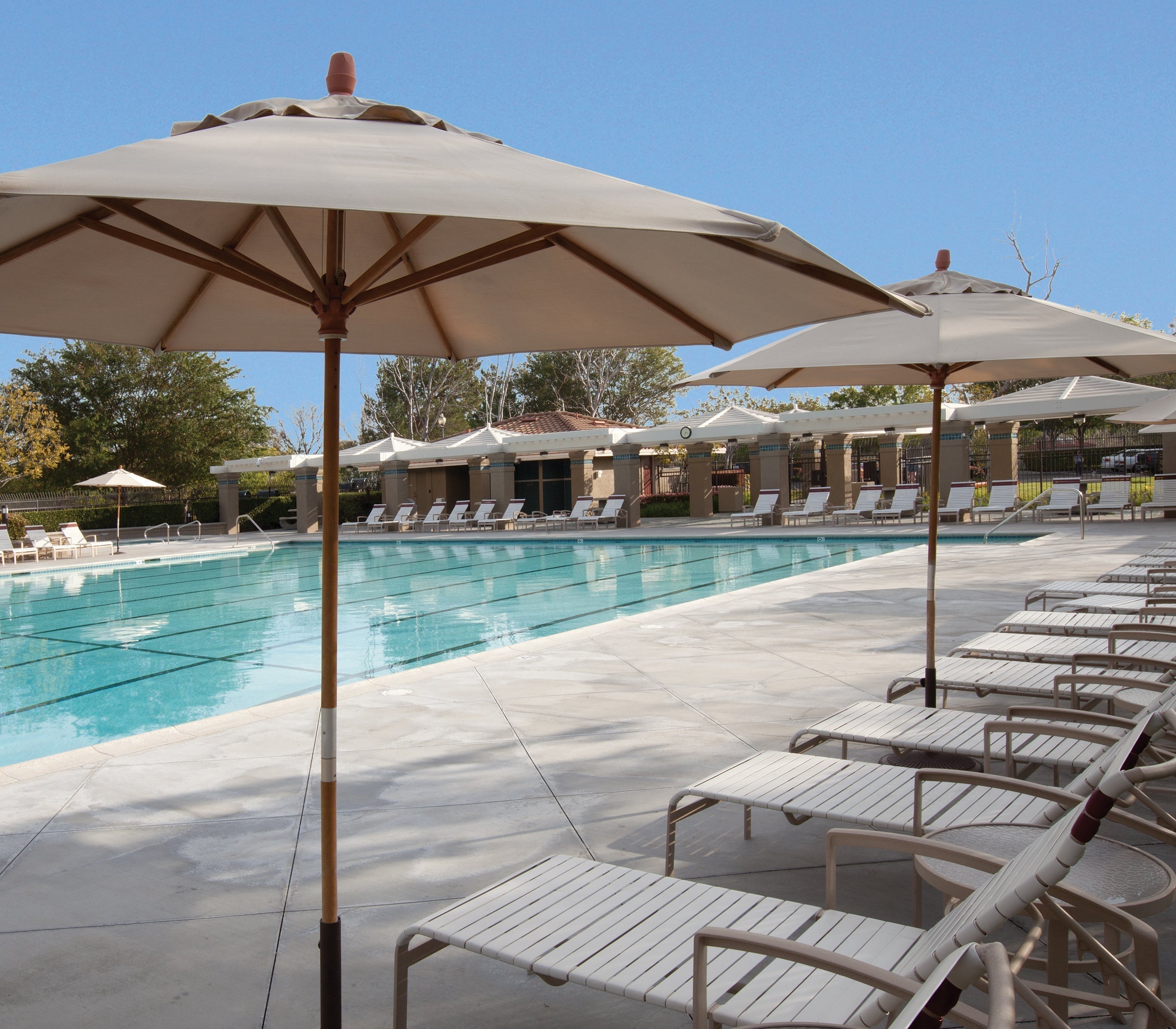 How to Choose the Right Patio Umbrella: Cantilever vs Traditional vs Portable