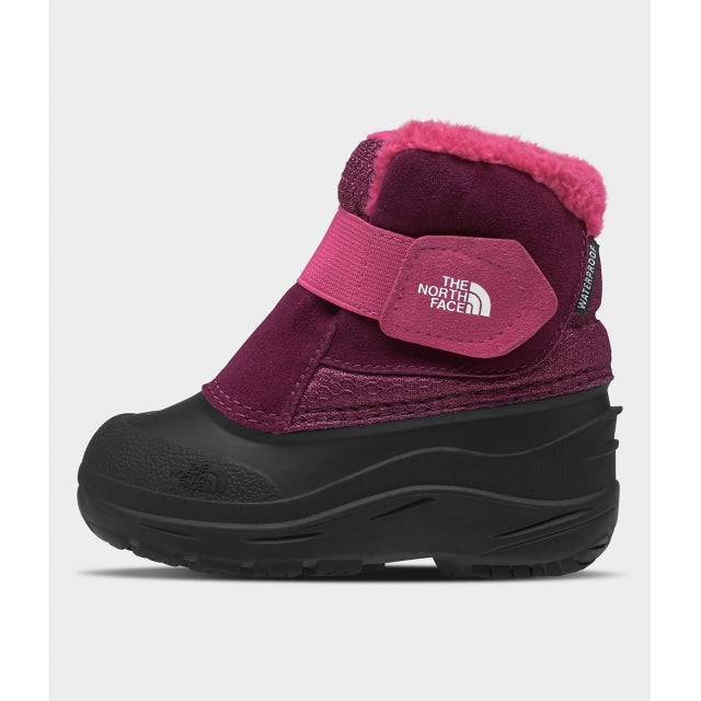 North Face Toddler Alpenglow II Boysenberry/TNF Black